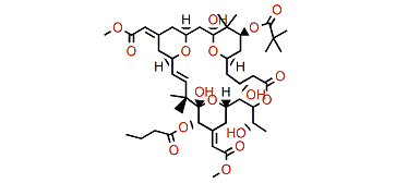 Bryostatin 4